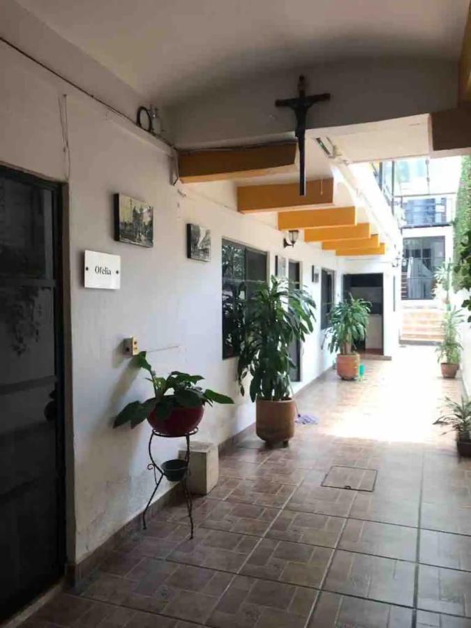 Cute Apart Excellently Located Oaxaca Exterior photo