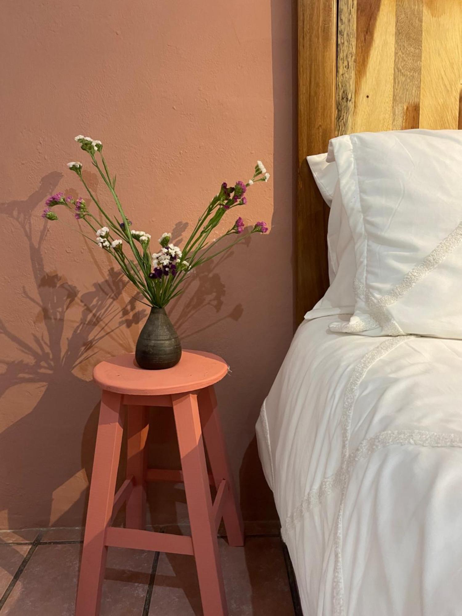 Cute Apart Excellently Located Oaxaca Exterior photo