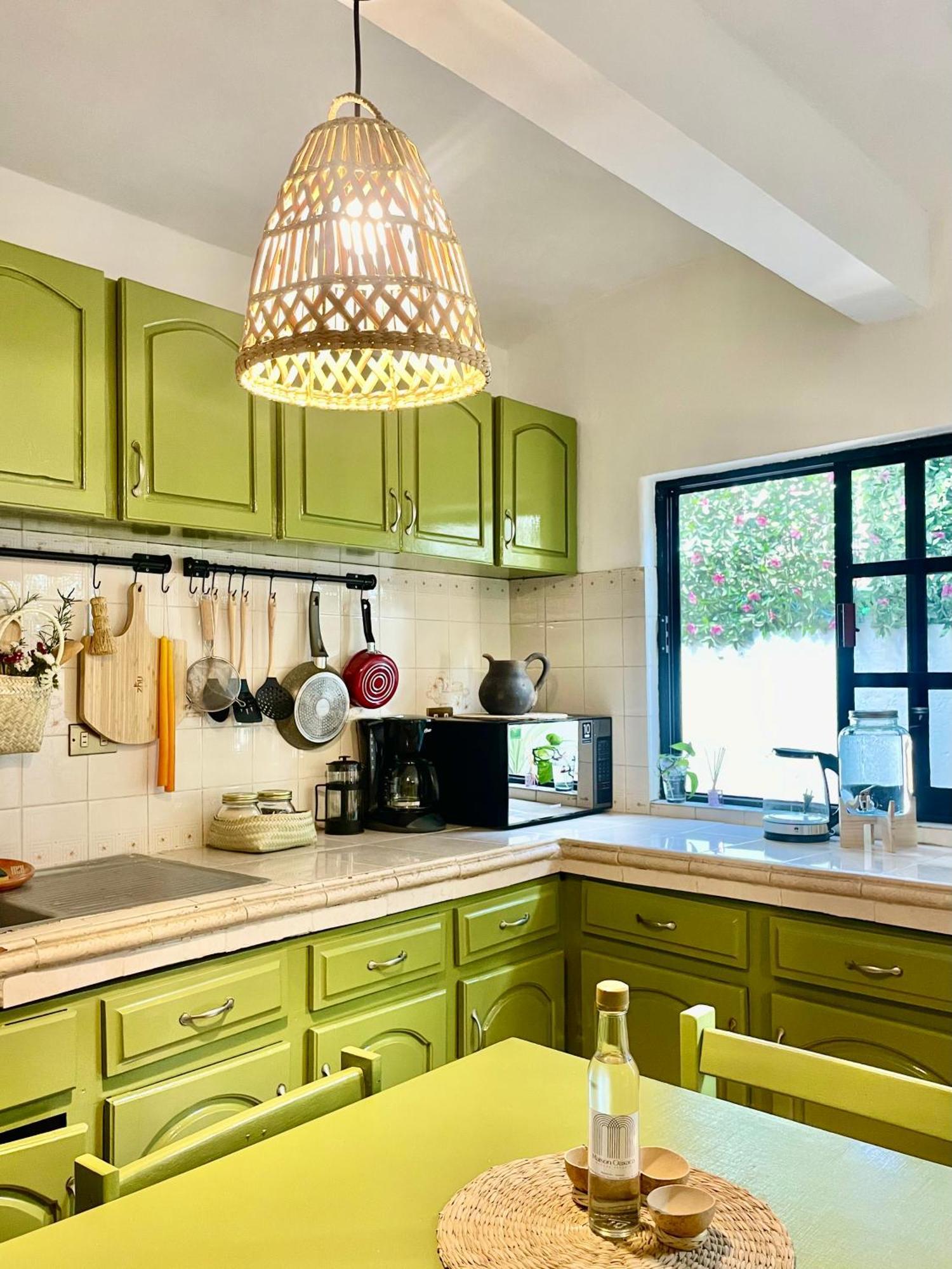 Cute Apart Excellently Located Oaxaca Exterior photo